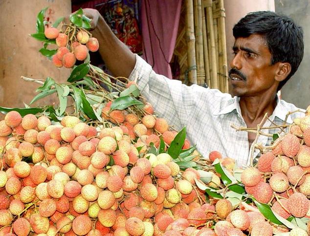 fruit uit india