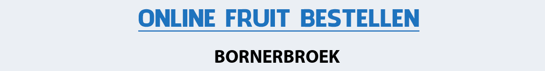 fruit-bezorgen-bornerbroek
