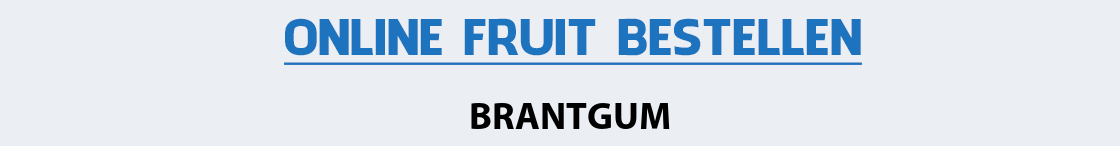 fruit-bezorgen-brantgum