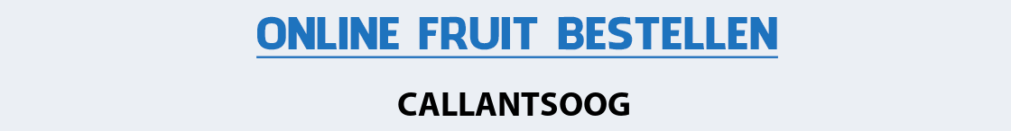 fruit-bezorgen-callantsoog