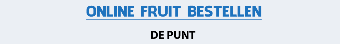 fruit-bezorgen-de-punt