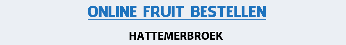 fruit-bezorgen-hattemerbroek