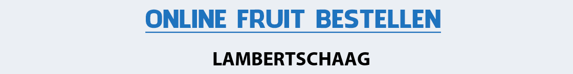 fruit-bezorgen-lambertschaag