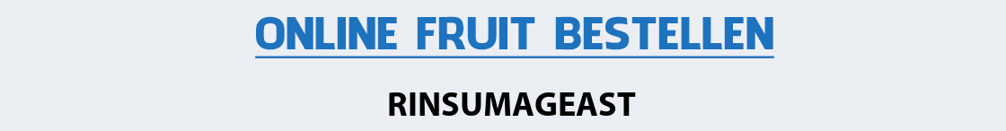 fruit-bezorgen-rinsumageast