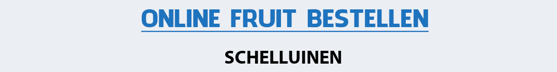 fruit-bezorgen-schelluinen