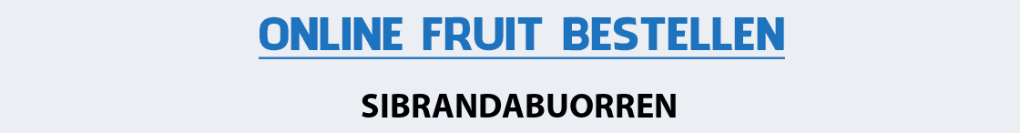 fruit-bezorgen-sibrandabuorren