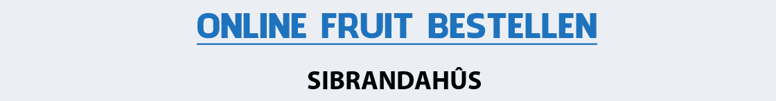 fruit-bezorgen-sibrandahus