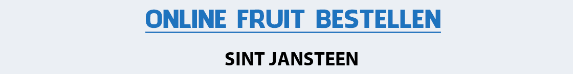 fruit-bezorgen-sint-jansteen