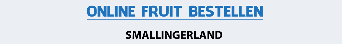 fruit-bezorgen-smallingerland