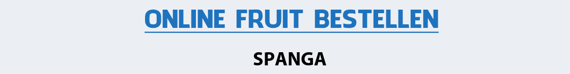 fruit-bezorgen-spanga