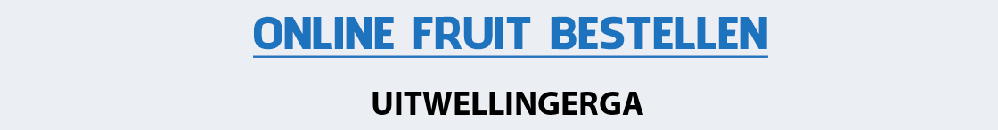 fruit-bezorgen-uitwellingerga