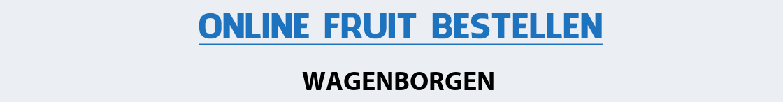 fruit-bezorgen-wagenborgen